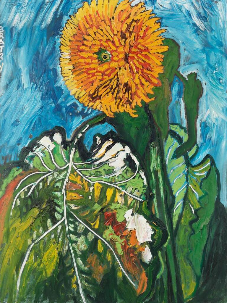 Sunflower