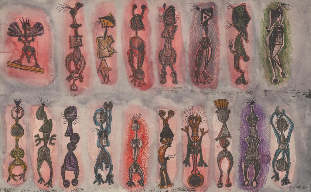 Comparative Anatomy
