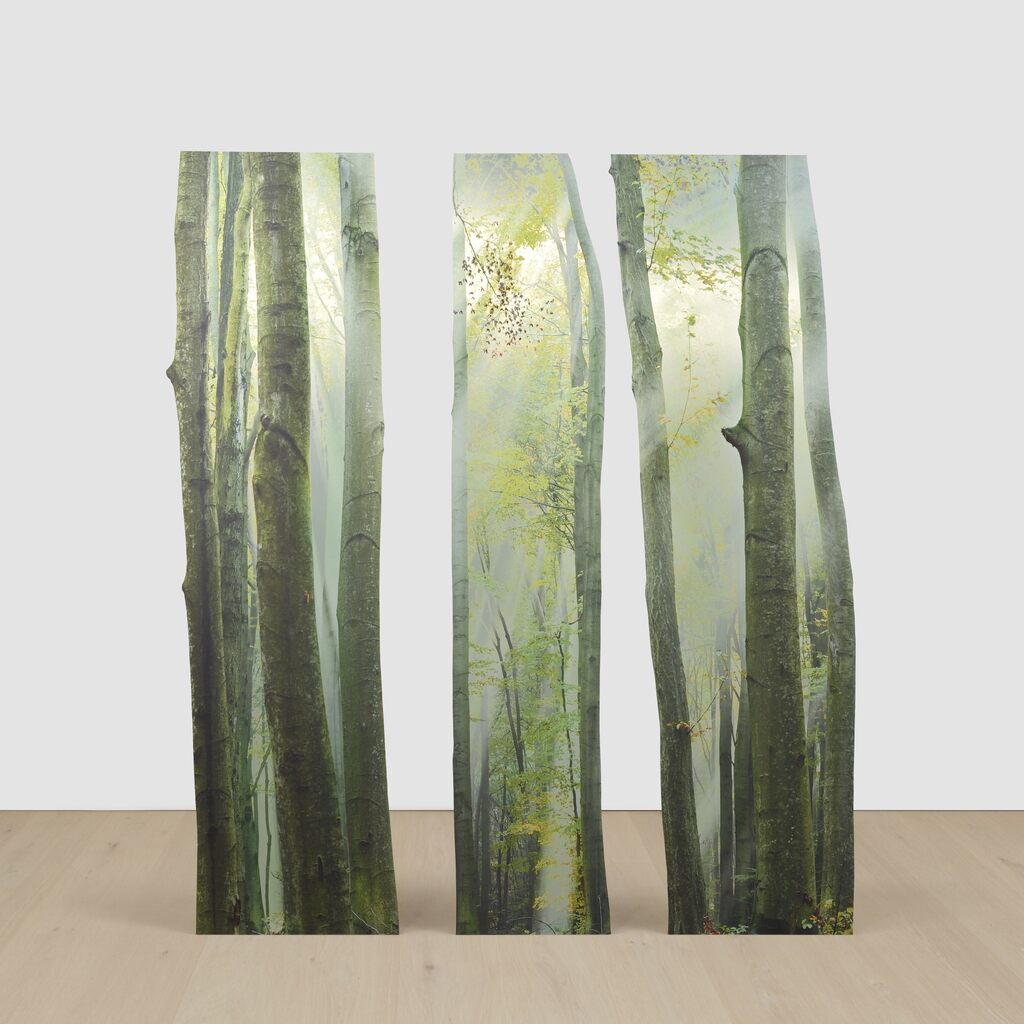 Branching (Green Forest)