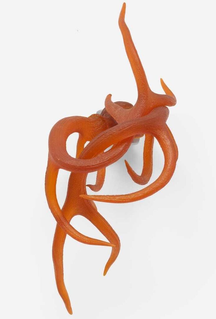 Knot
