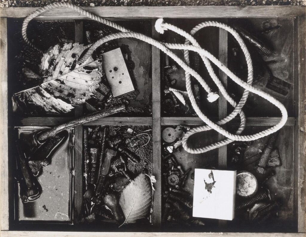Untitled (Still Life)