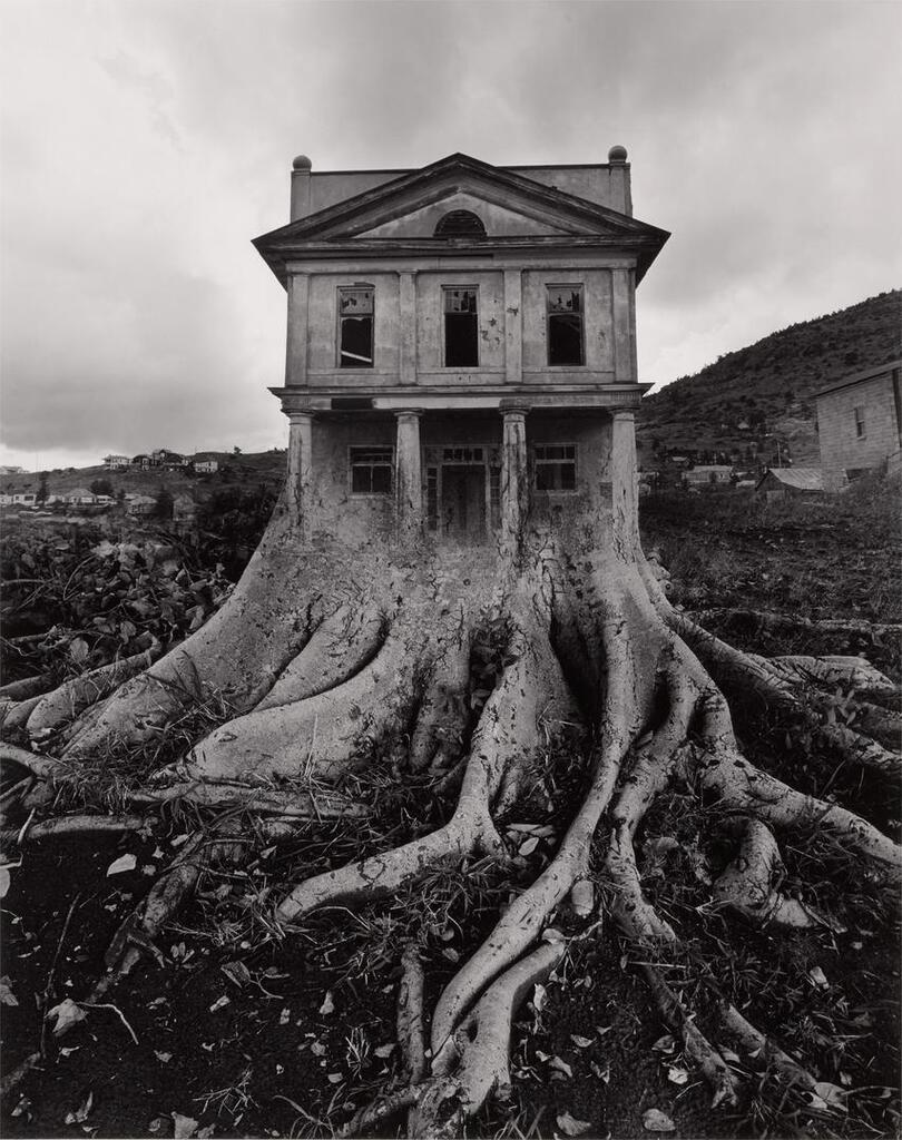 Selected Images