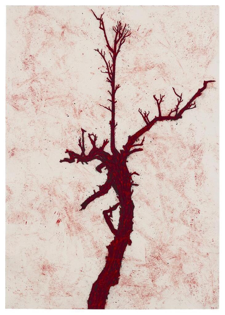 Tree (23) (PP1950)