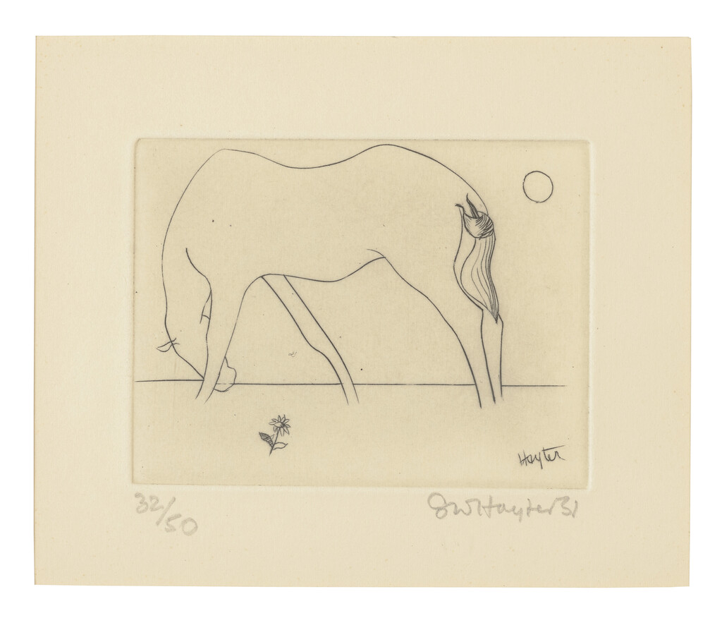 Small Horse