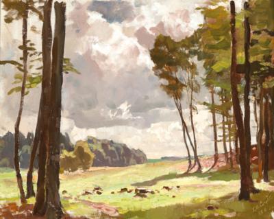 A Forest Glade