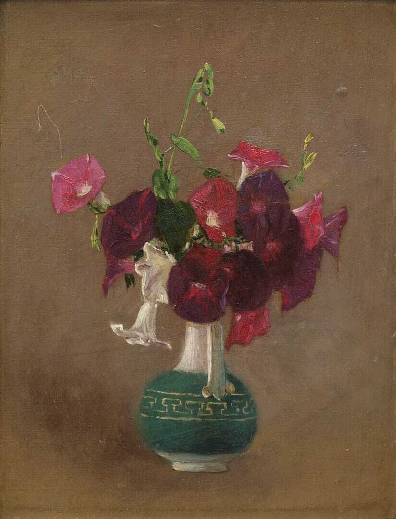 Morning Glories