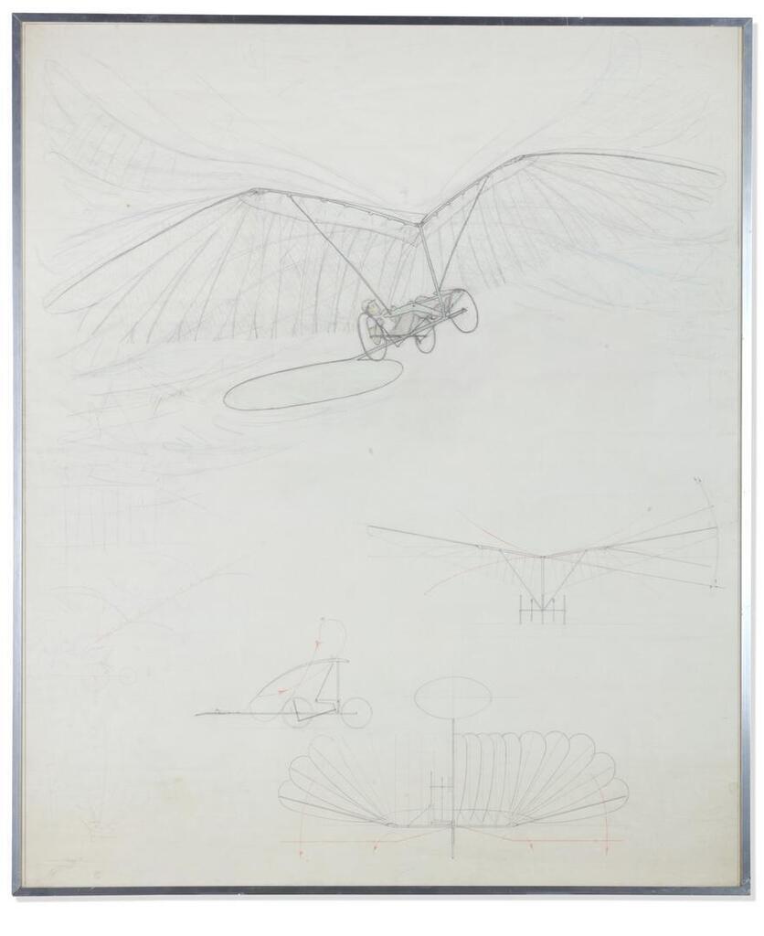 Short Wing Span (Short Wing-Span)
