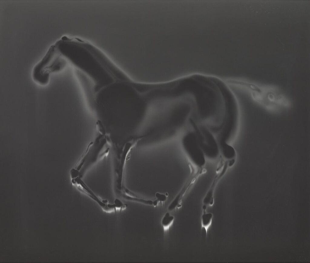 Eadweard Muybridge, Bouquet Galloping, Animal Locomotion, ca. 1885