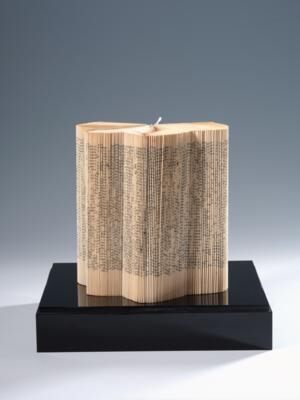 Untitled. Libro Di Fisiologia Vegetale