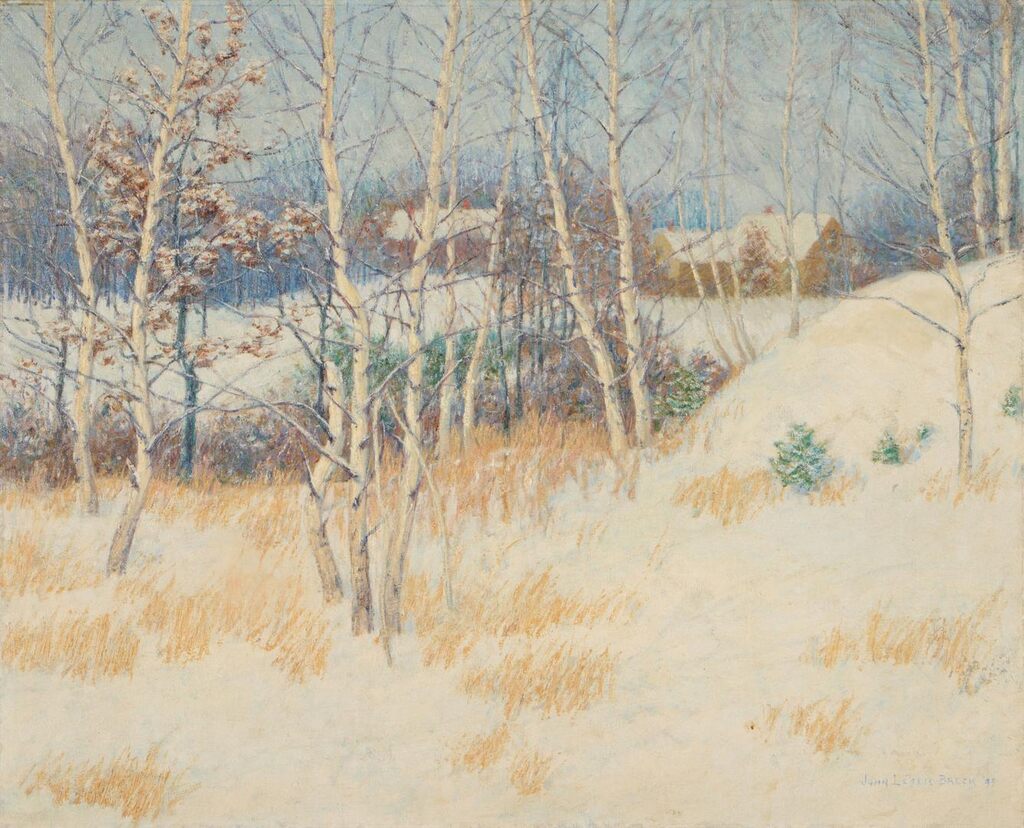 Stand of Birch Trees in Winter
