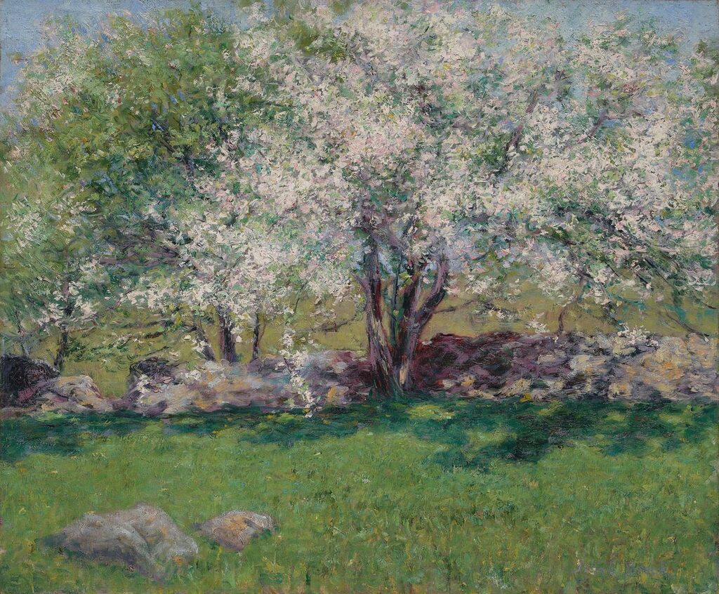 Apple Trees