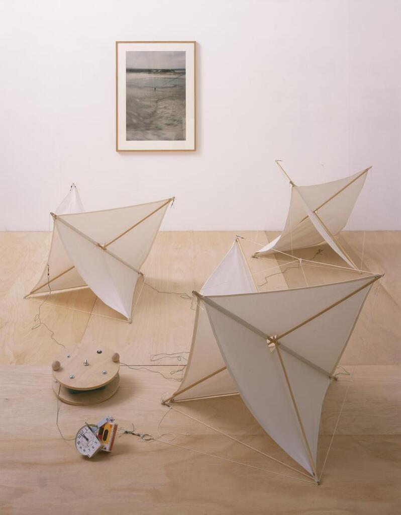 3 Flaix Kites flown 'In Train'