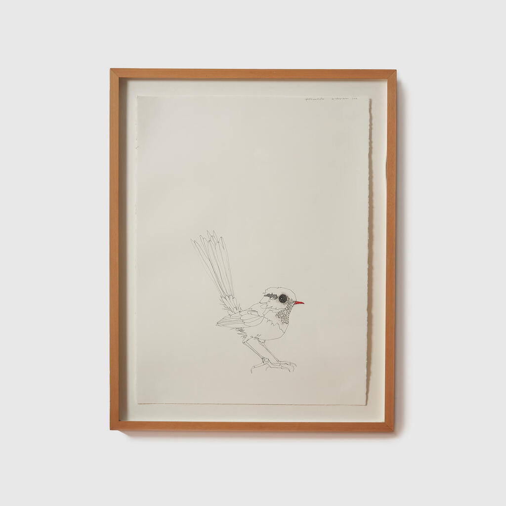 Splendid Wren and Willow