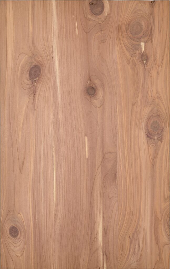Untitled (Juniper Veneer)
