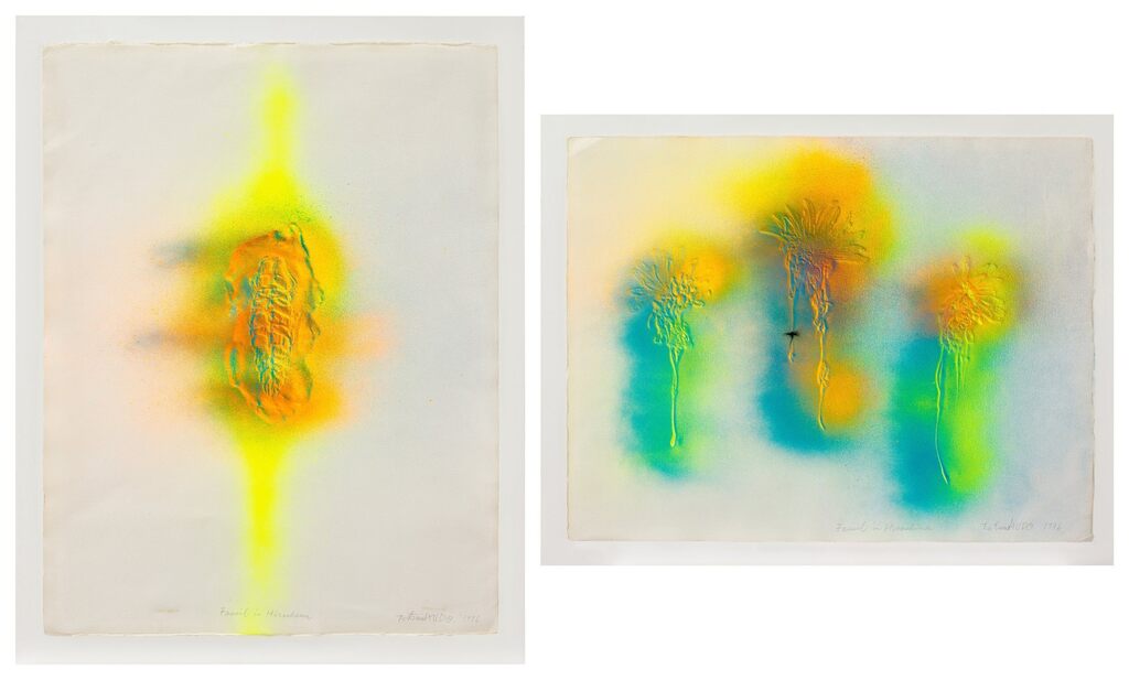 Fossil in Hiroshima (Two Works)