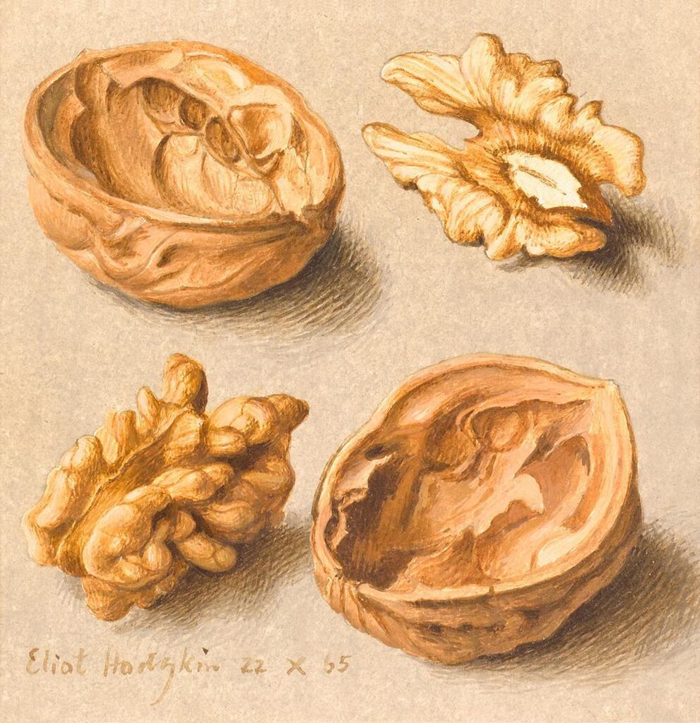 Walnuts