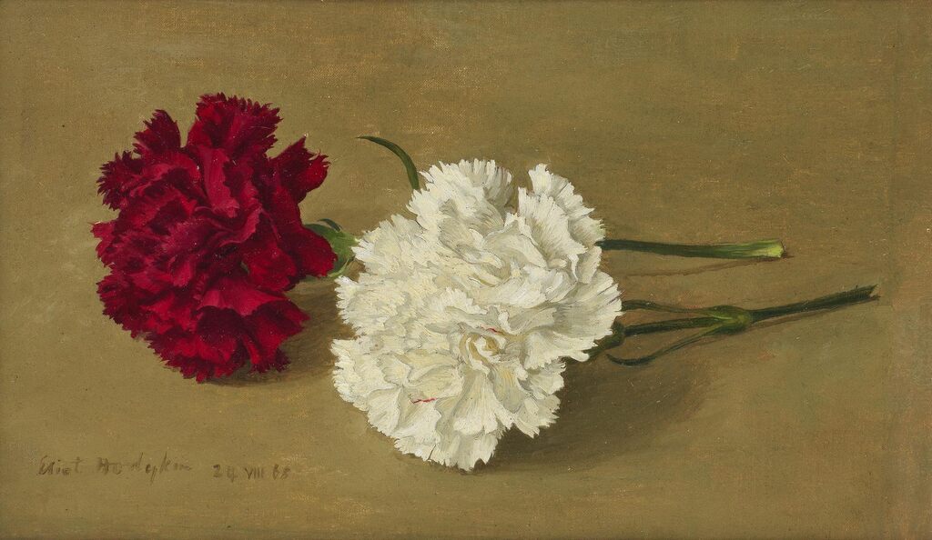 Red and White Carnations (Lying Down)