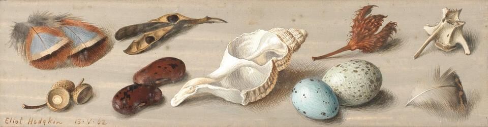 Robert Melville's Picture