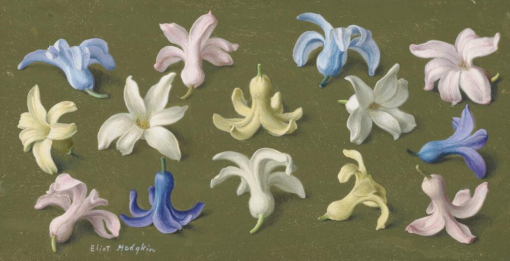Fourteen Hyacinth Heads