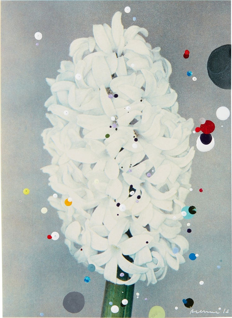 Hyacinth Edelweiss 2016 (No.2 #2)
