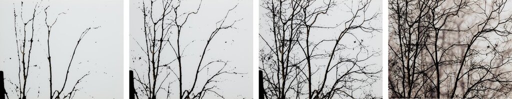 Untitled (02.2)