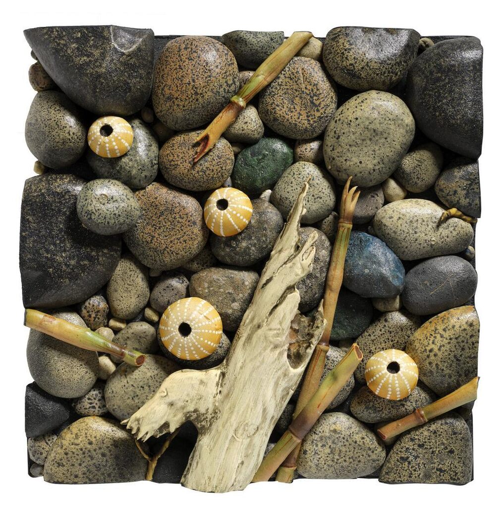 Spiaggia con ricci gialli