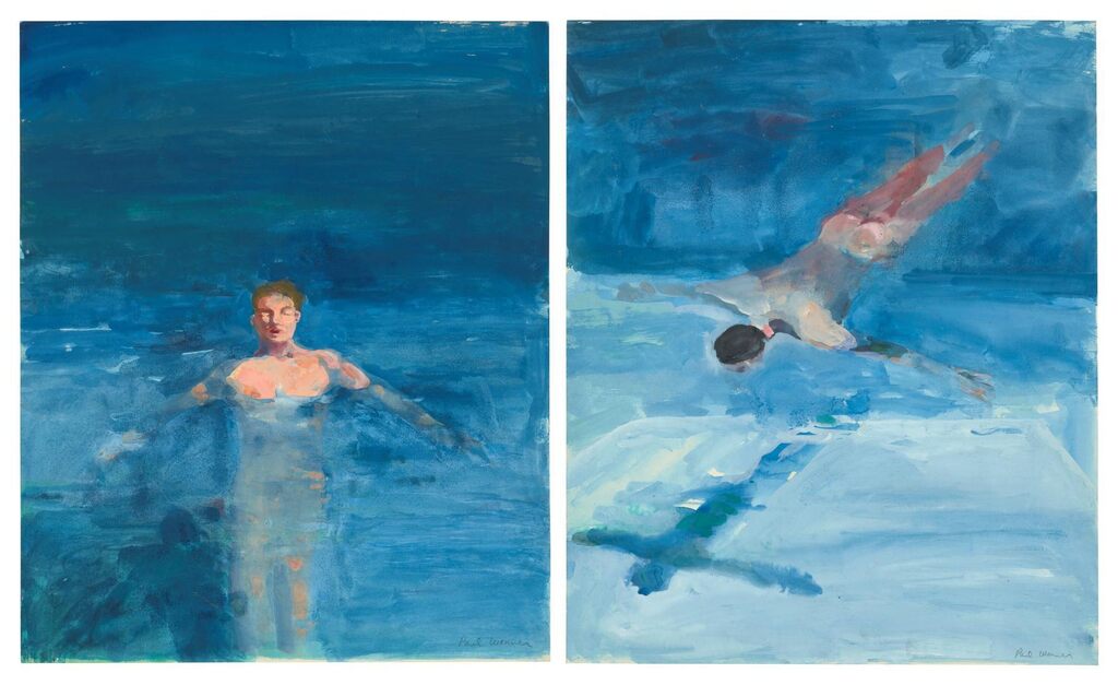 (i) Swimmer; (ii) Swimmer Floating in a Pool