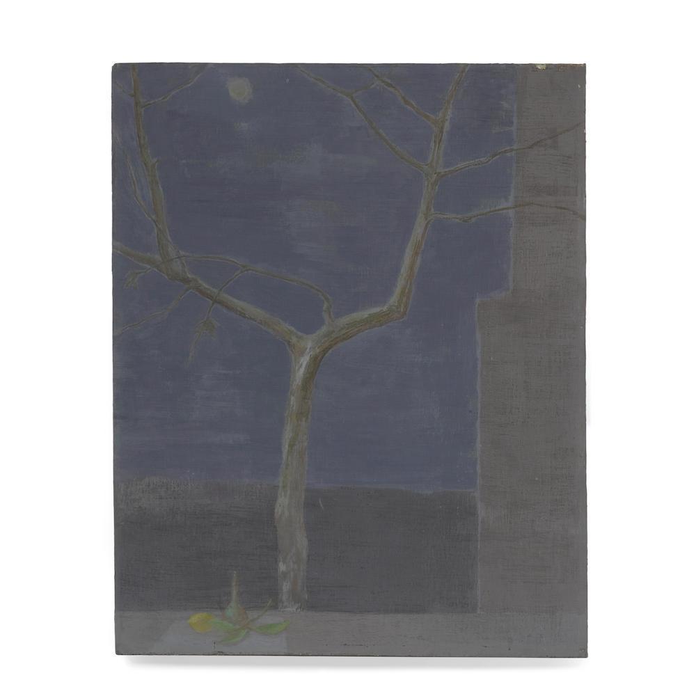 Night Tree