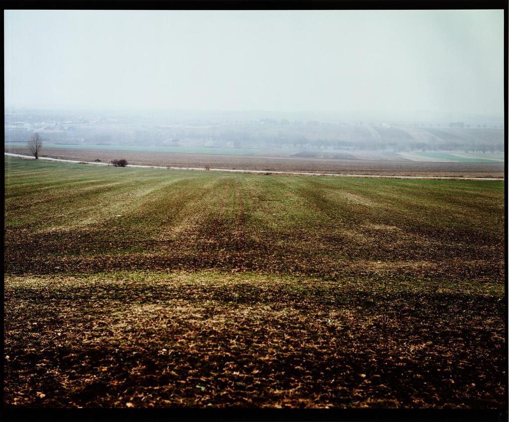 Austerlitz, (Série Champs de Bataille)