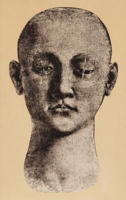 Head