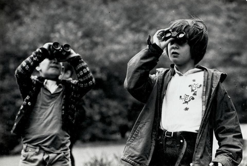 Birdwatchers in the Ramble, Central Park, New York City