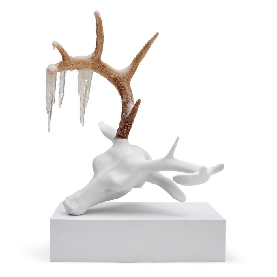 Untitled (Ice Head)