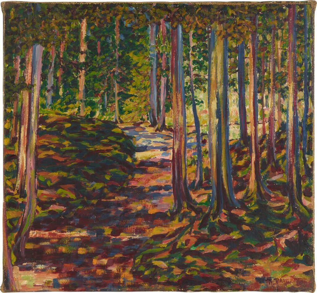 Waldpartie (Forest Tour)