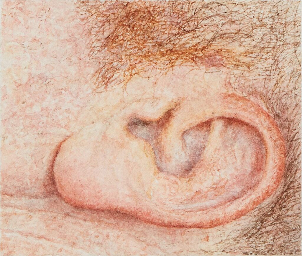 Ear