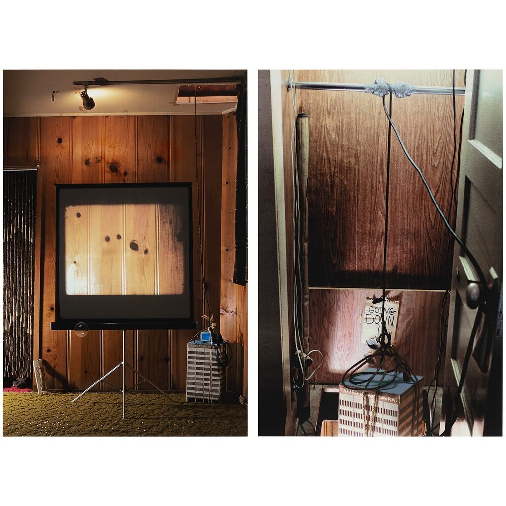 Two works: (i) Whole (Screen); (ii) Whole (Going Down)