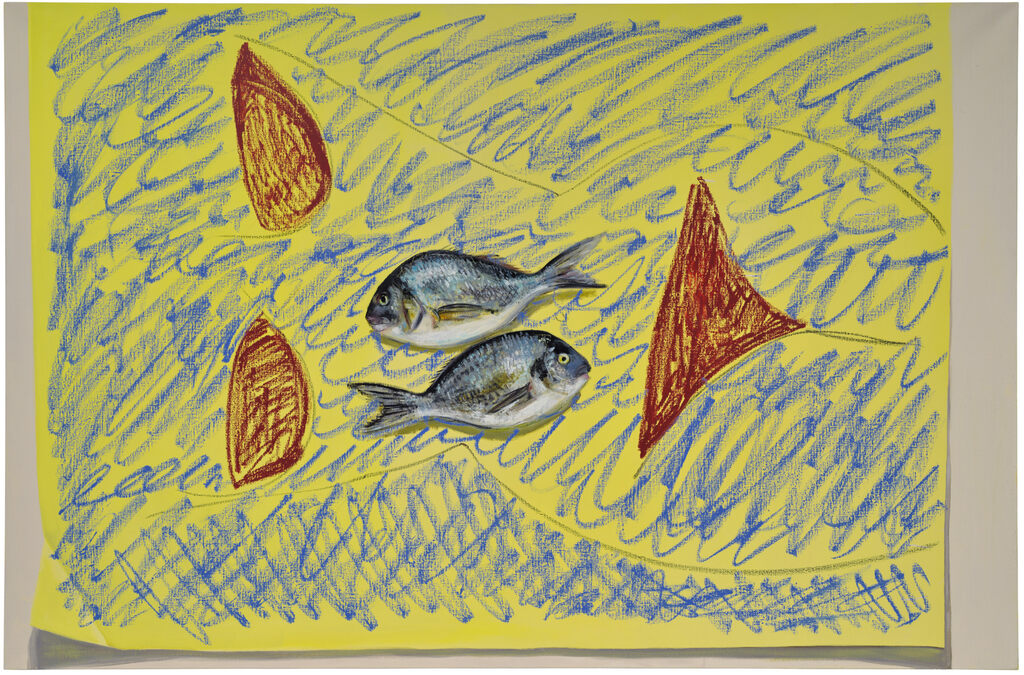 Fish, Yellow, Bikini
