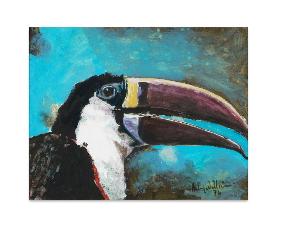 Toucan
