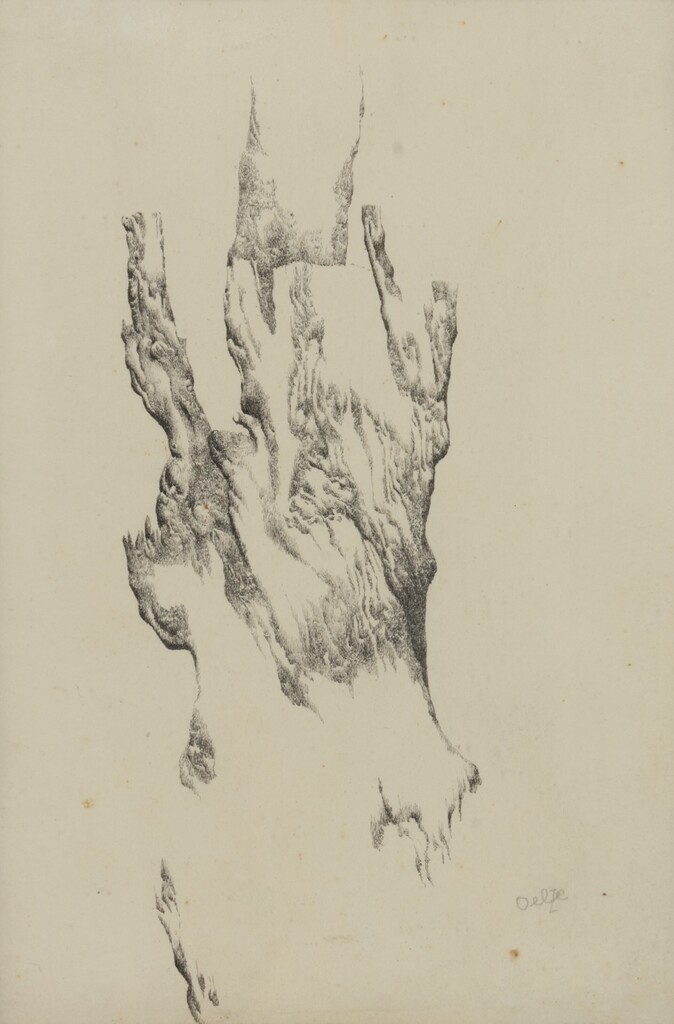 Baumstamm (Tree Trunk)