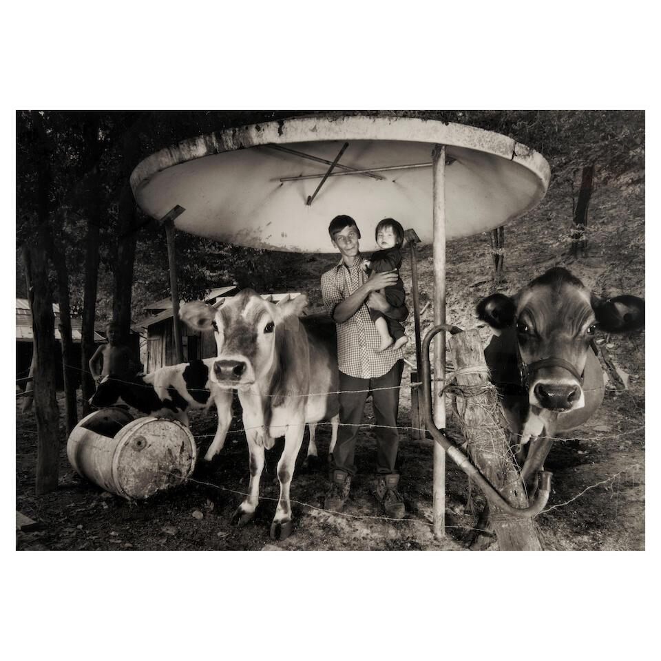 Donnie with Baby and Cows