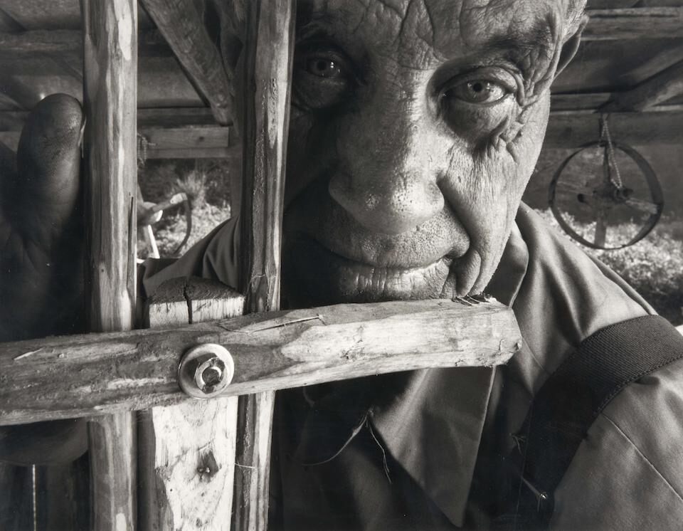 The Woodworker