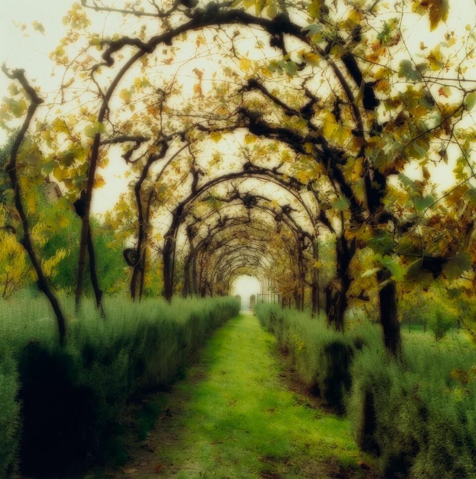'Boboli Gardens, Florence' and 'Cestosa di Pontignano, Italy'