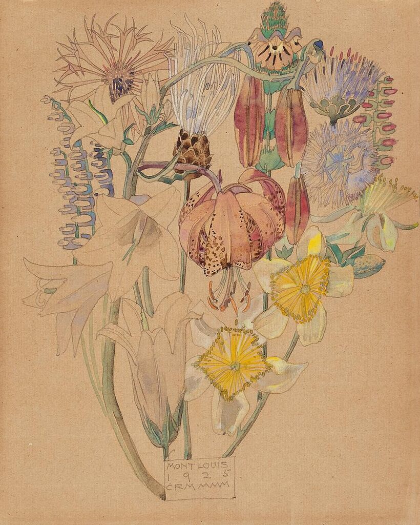 Mont Louis - Flower Study