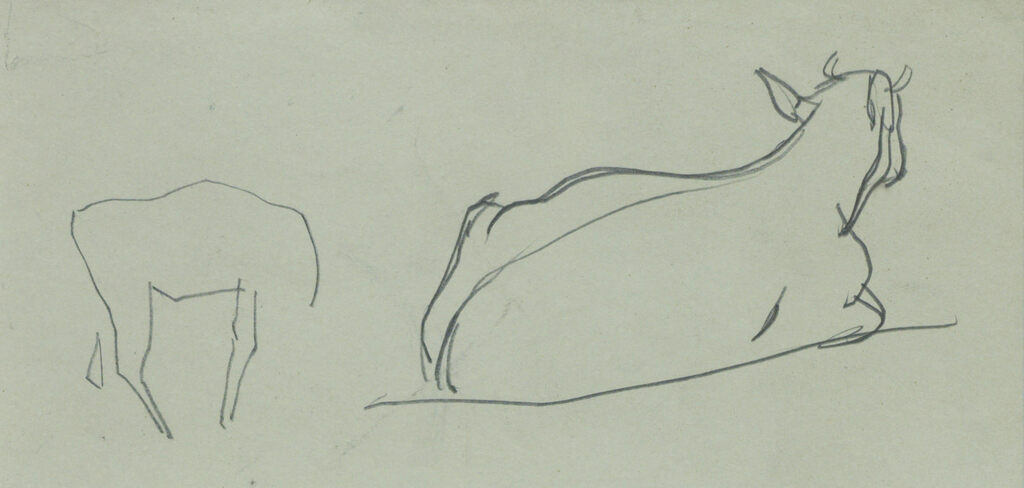 The Road to Hurstbourne Tarrant; A study of cows
