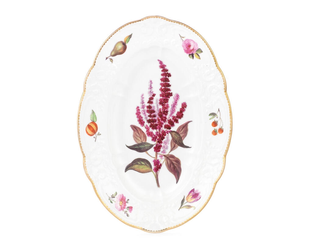 A rare Swansea botanical dish, circa 1815-17