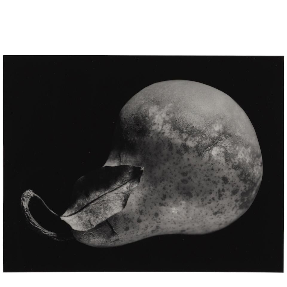 Pear, New York, 1964