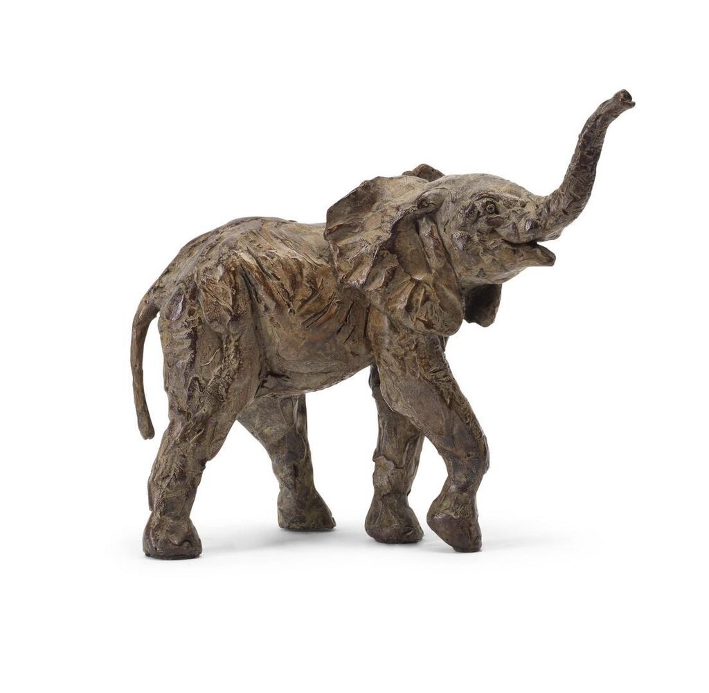 Elephant Calf
