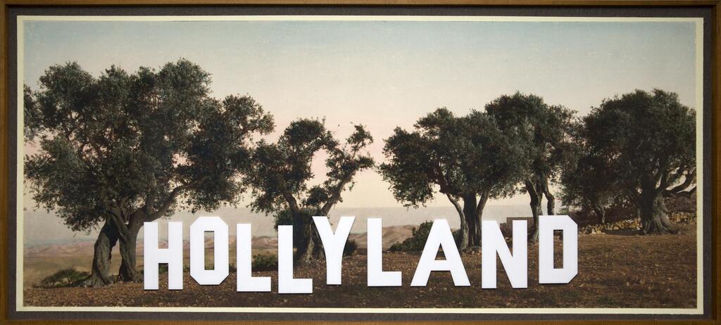 Hollyland