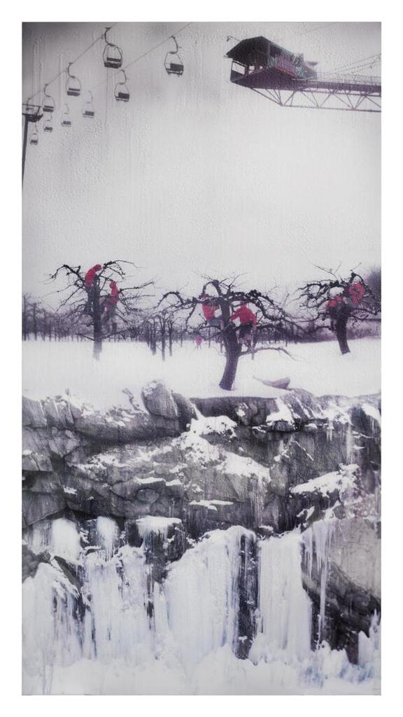 Orchard (from Sheltered)