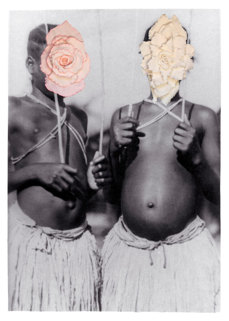 Flowers I (AP)