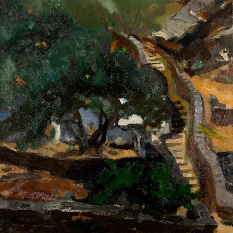 Vue de Sifnos / Paysage IV